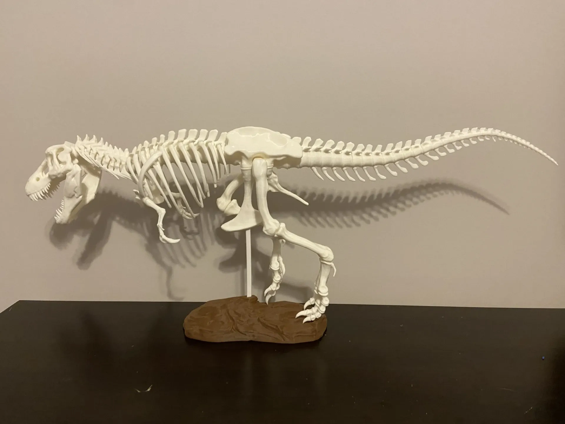 霸王龙骨架250% Reinforced Tyrannosaurus Rex Skeleton 