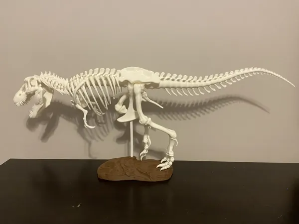 https://makerworld.bblmw.com/makerworld/model/DSM00000000670916/design/7b50369f-0ece-417e-a858-dc6209251254.webp