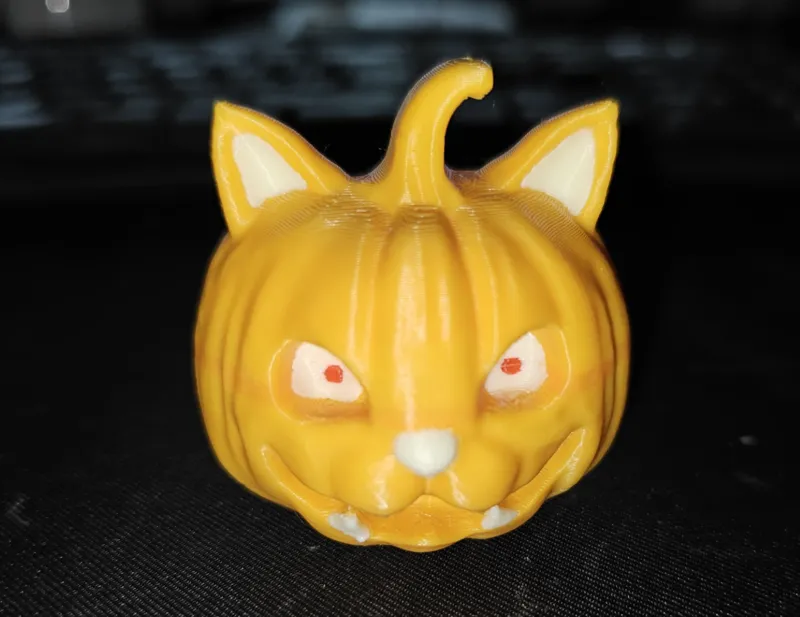 Pumpkin cat