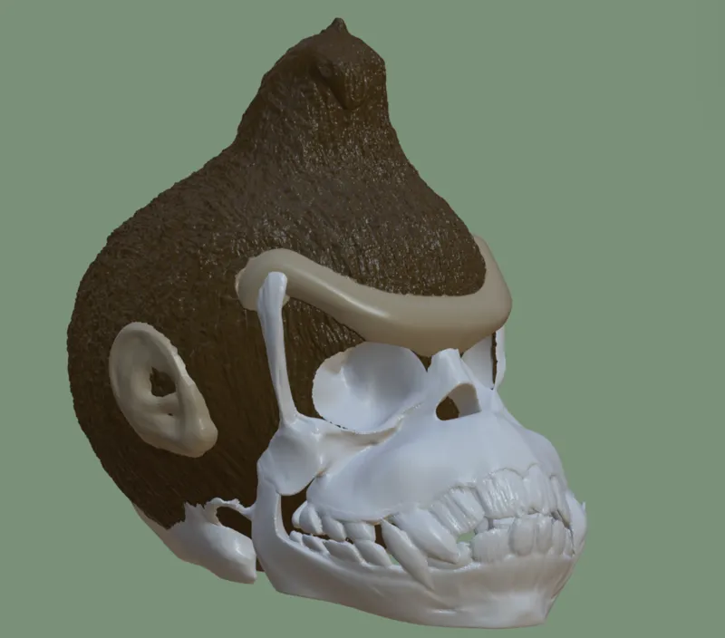 Donkey kong skull