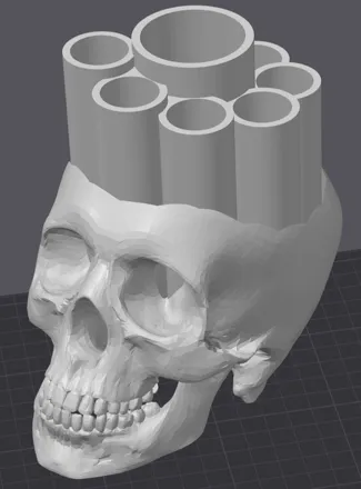 Make up Skull Brush