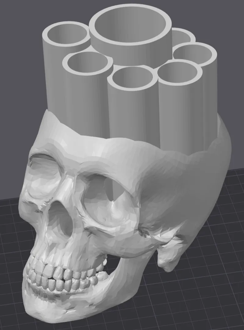 Make up Skull Brush