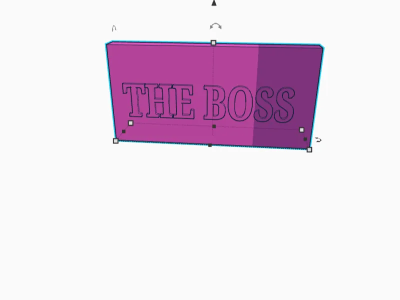 the boss plate