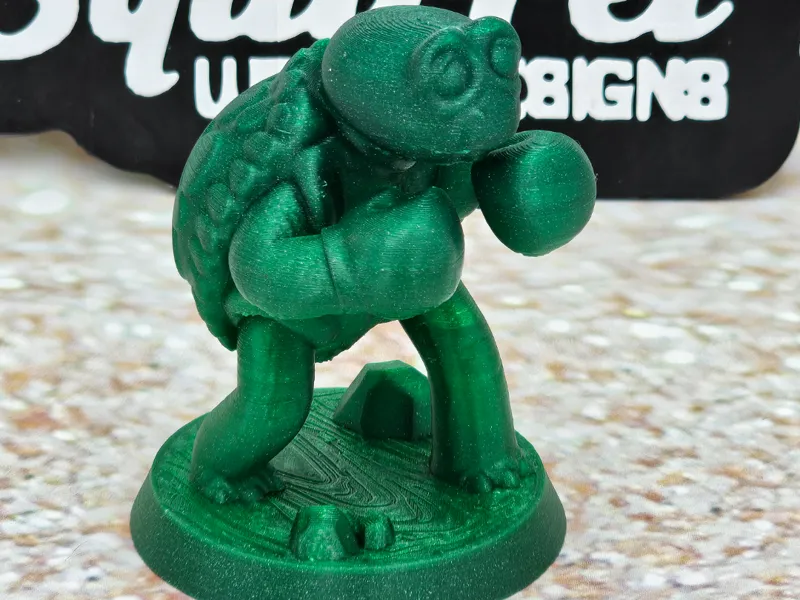 Boxing Turtle