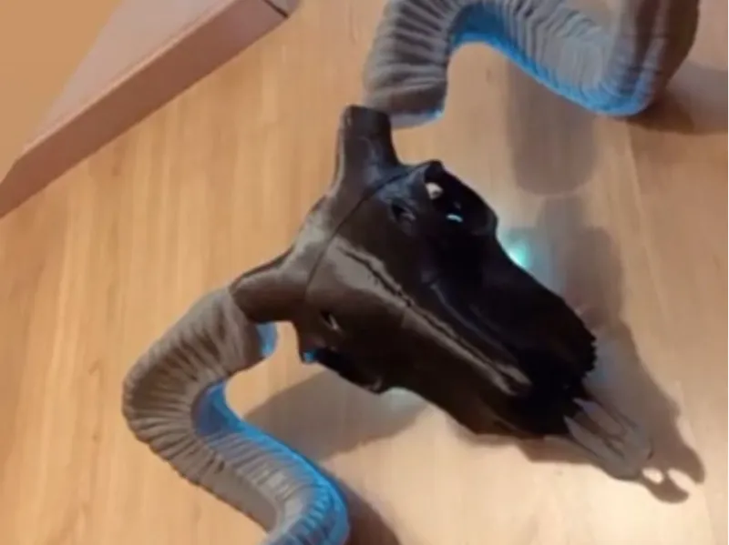 Ram SKULL