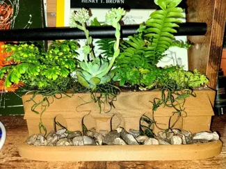 Small Fern and Succulent Planter