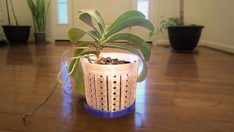 6in Orchid Planter for Oversized Orchids