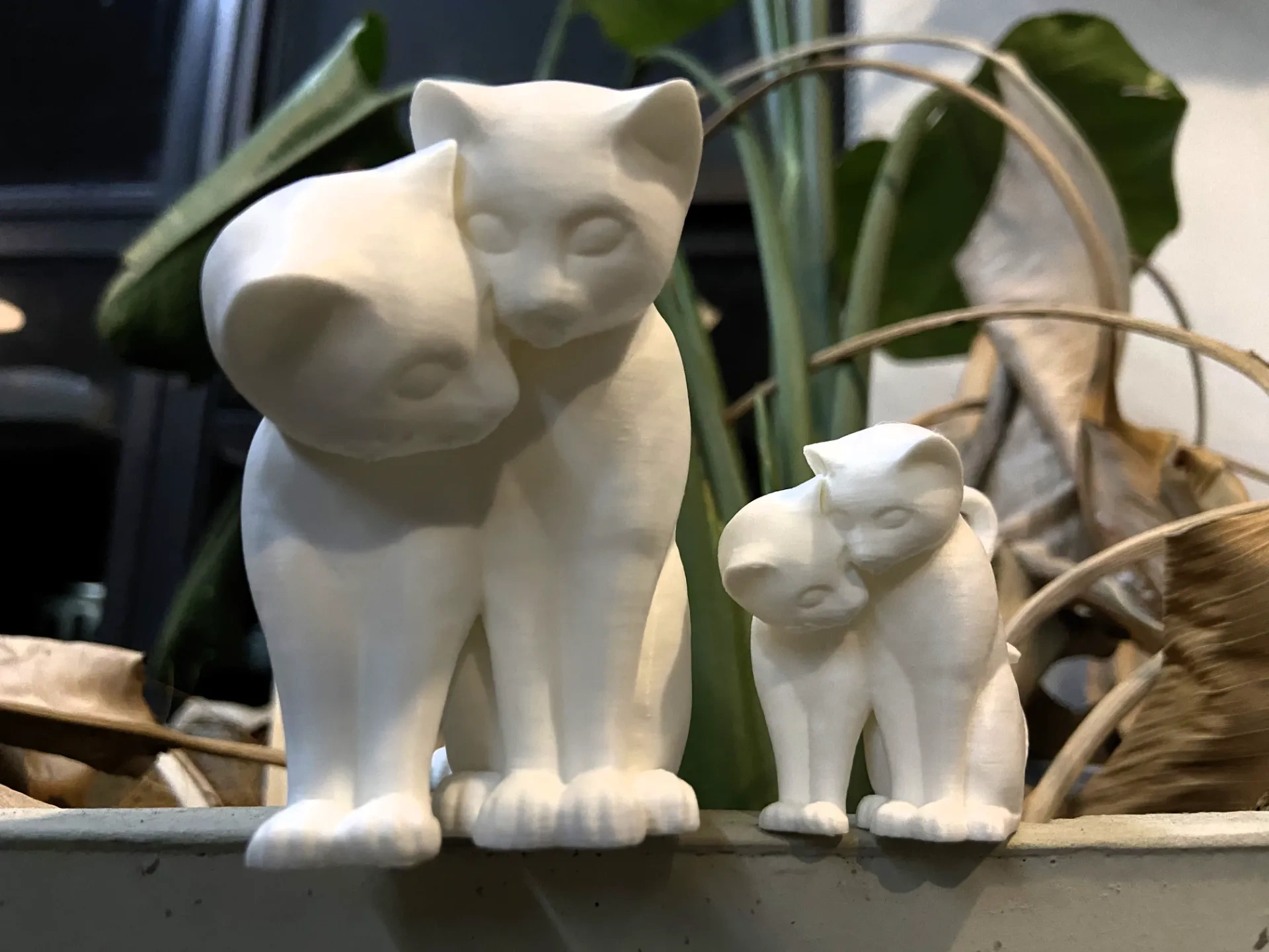 两只相互依偎的猫猫