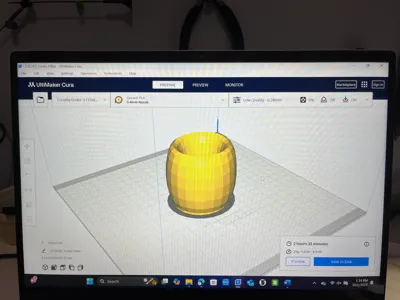 plant pot 