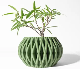 Tree Pot 1