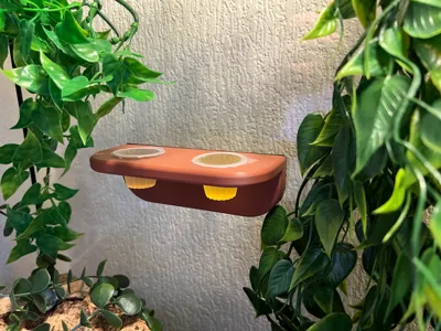 Twin Jelly Pot Holder Platform