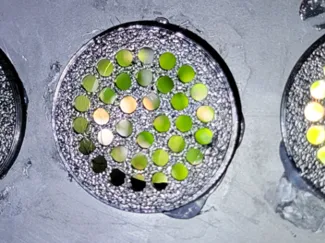 Glue in terrarium vent