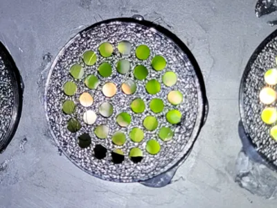 Glue in terrarium vent
