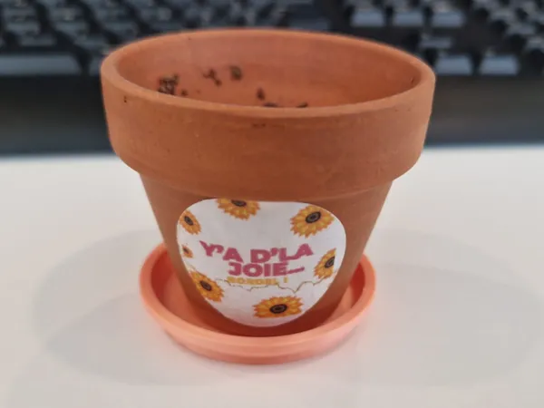 https://makerworld.bblmw.com/makerworld/model/DSM00000000687741/design/2024-10-07_6f1a7bc31daa2.jpeg