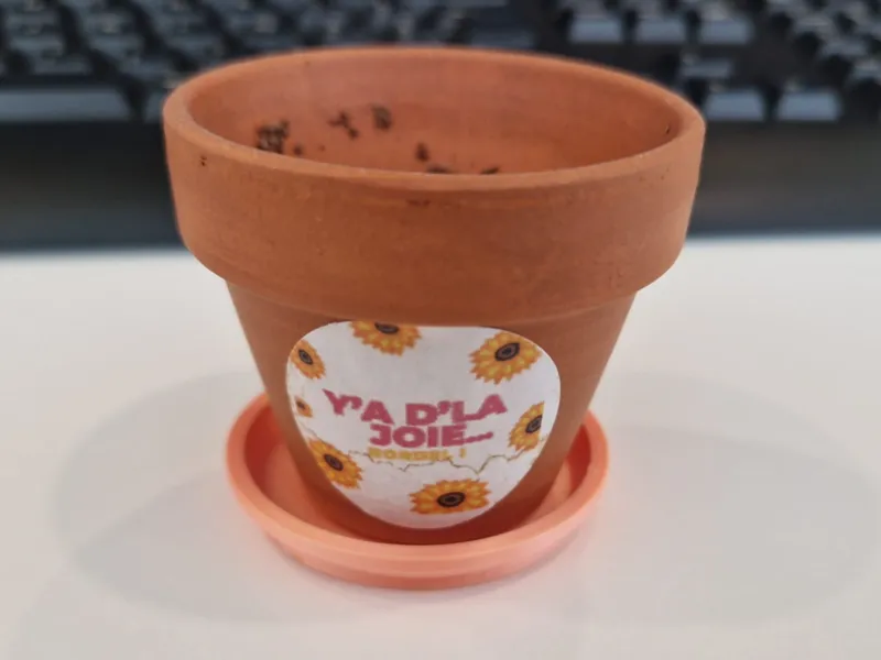 Mini Desk Plant Saucer