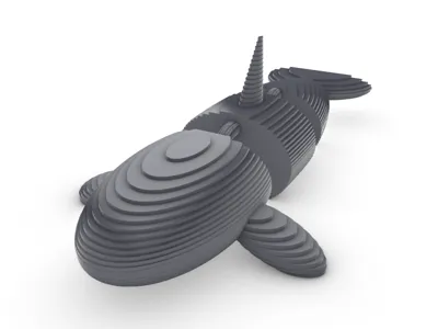killer whale