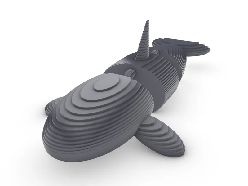 killer whale