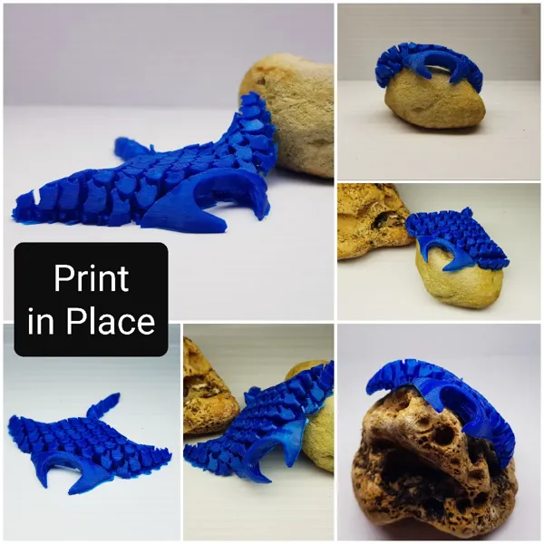 https://makerworld.bblmw.com/makerworld/model/DSM00000000692963/design/2024-10-10_3a49a4cd43271.webp