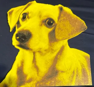 Dachsund - HueForge