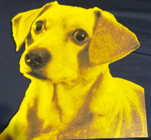 Dachsund - HueForge