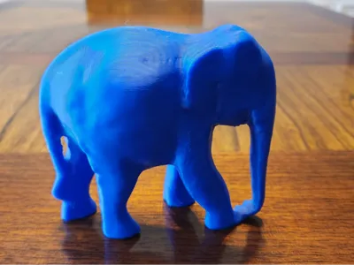 Indian Elephant