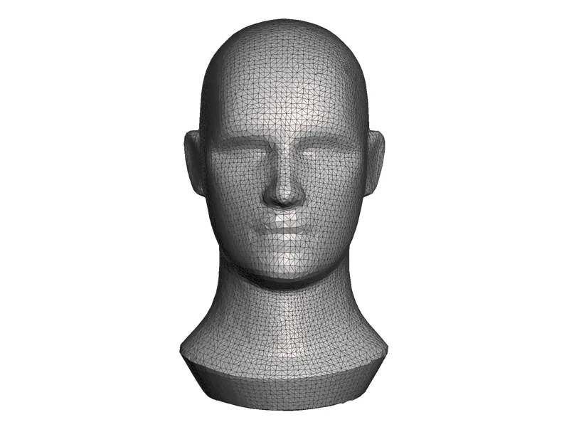 Human Head