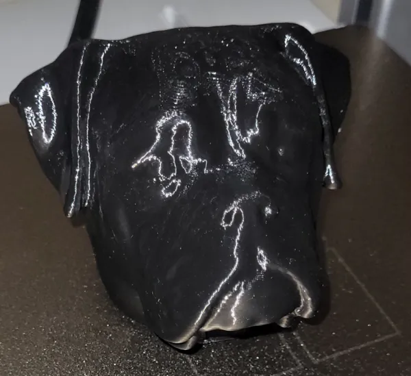 https://makerworld.bblmw.com/makerworld/model/DSM00000000695886/design/2024-10-11_f7a594480546d8.jpg
