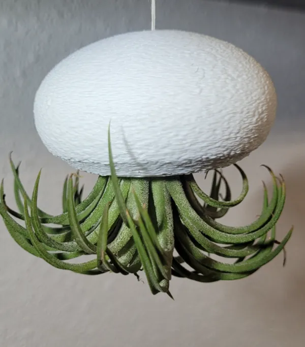 https://makerworld.bblmw.com/makerworld/model/DSM00000000695907/design/2024-10-11_adda92663258f.jpg