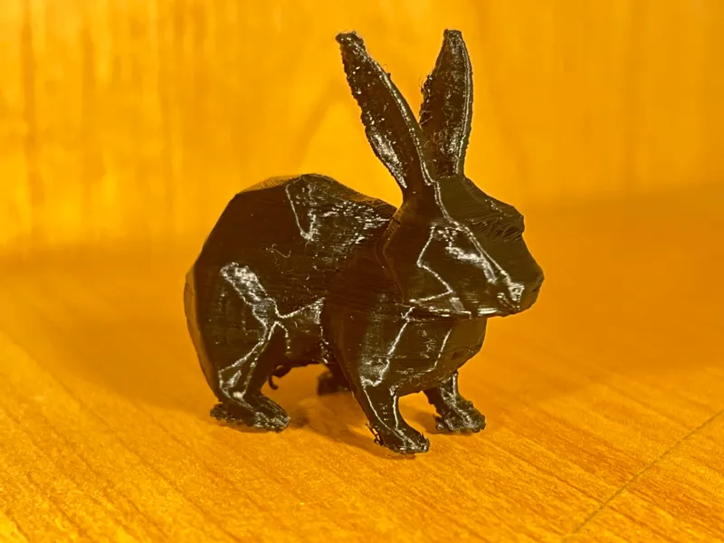 Cute little bunny rabbit