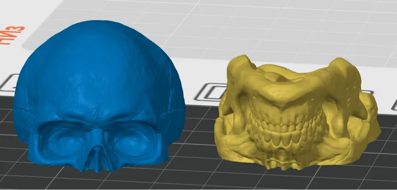 Skull mini version