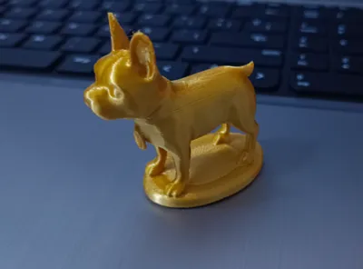 French Bulldog DJI