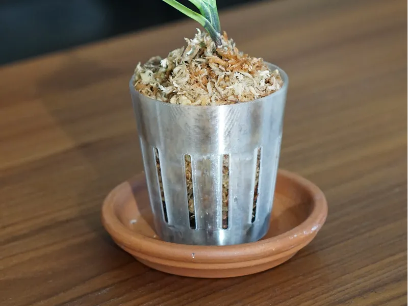 Small Orchid Pot