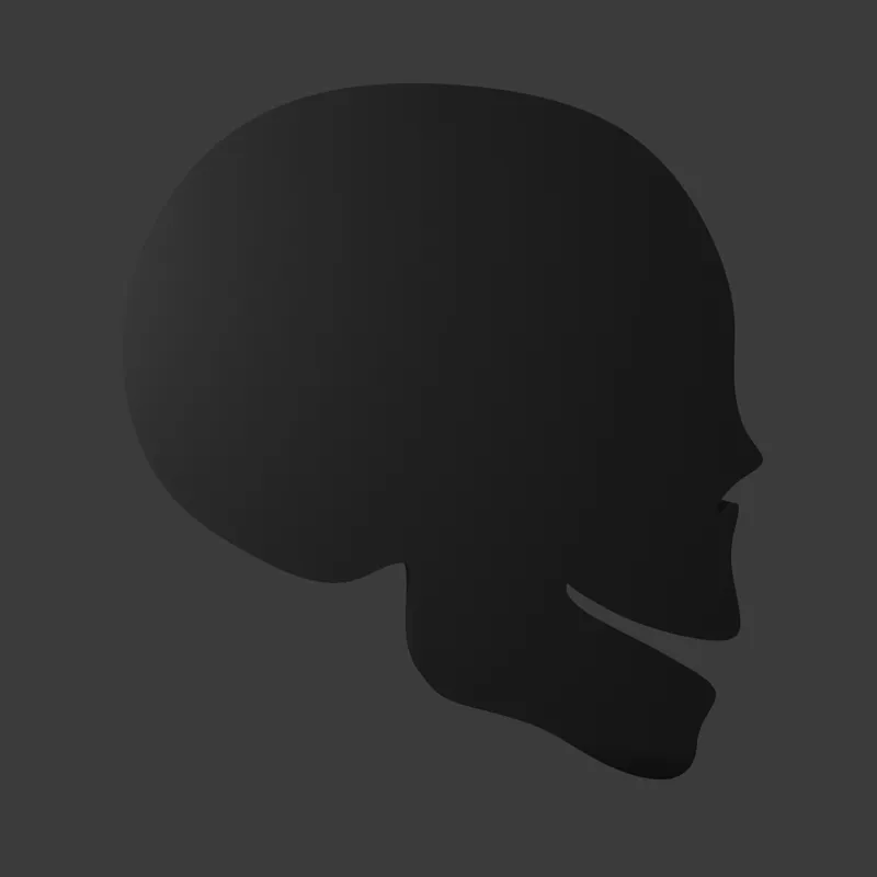 2D Skull 3D Model