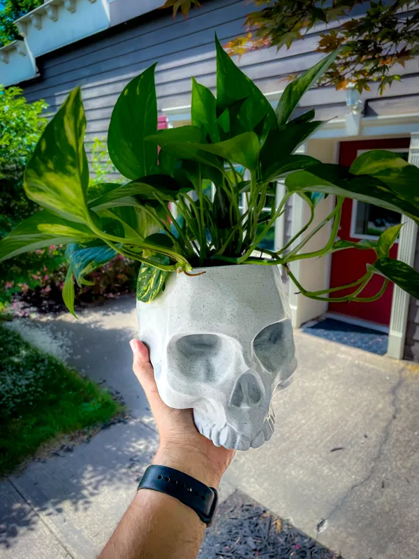 https://makerworld.bblmw.com/makerworld/model/DSM00000000700779/design/2024-10-13_5f0pmkoqbl5k.jpg