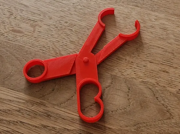 https://makerworld.bblmw.com/makerworld/model/DSM00000000701781/design/2024-10-13_ddcbb68cece15.jpg