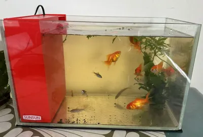 30-gallon Side Filter Box - Left