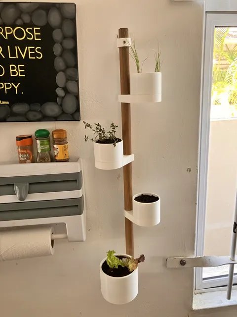 https://makerworld.bblmw.com/makerworld/model/DSM00000000702893/design/2024-10-14_vexilzqfzgd7.png