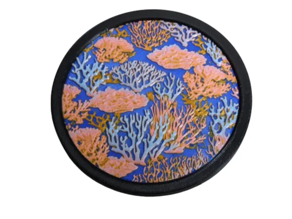 Coral Reef Coaster