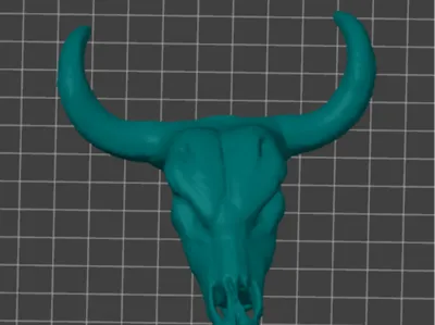 skull 