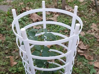 Fence Guard for Plant Protection