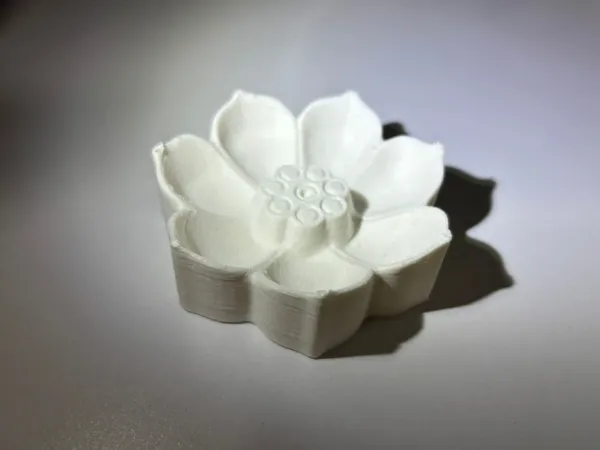 https://makerworld.bblmw.com/makerworld/model/DSM00000000707192/design/a295cca3-014d-4f62-9ecb-620ef0f08ecb.webp