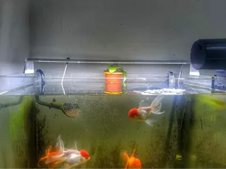 植物花盆支架、鱼缸植物支架