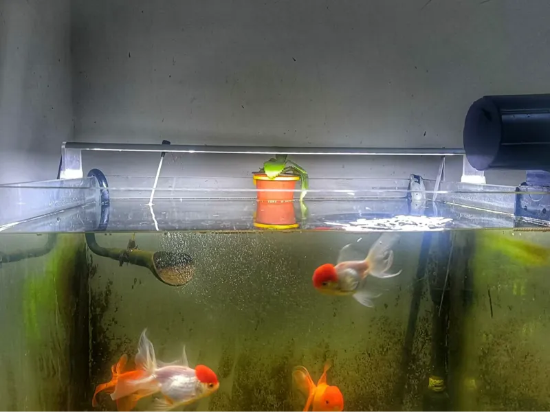 植物花盆支架、鱼缸植物支架