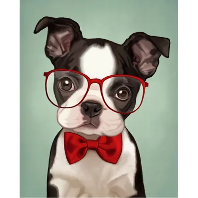 pup with glasses