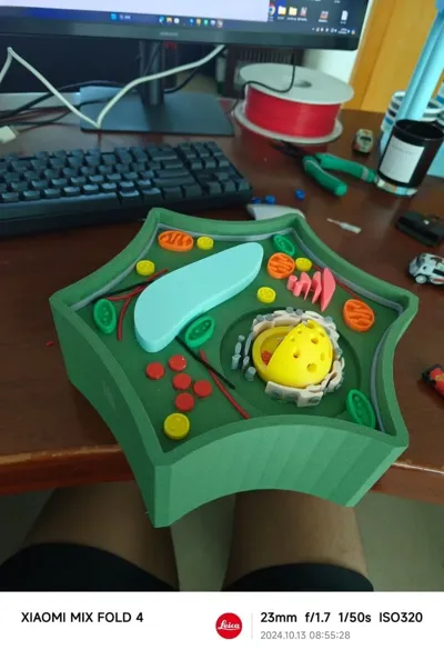 Green Cell Universe
