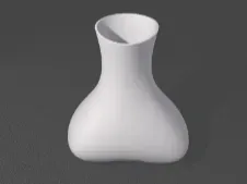 一个小花瓶