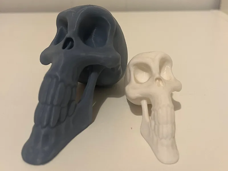 Toony Skull