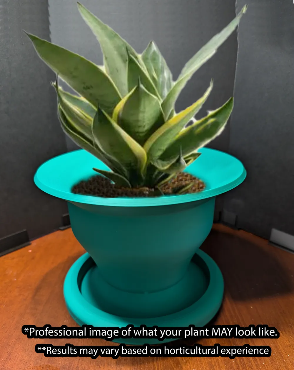 Big 'Ole Flower Pot /w drainage & built in saucer by PrinterMcgee