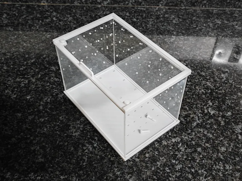 tarantula sling enclosure