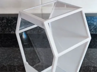 coffin enclosure for spiders